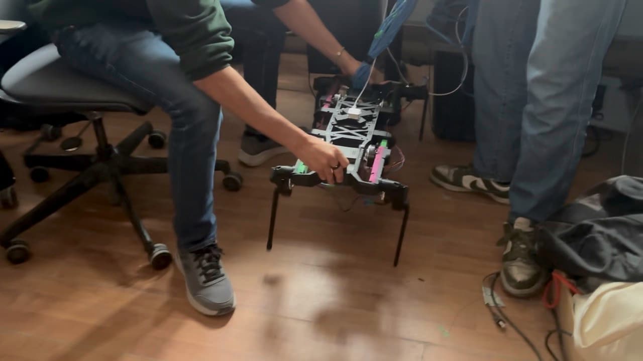 Newton project image
